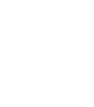 Alex Tile Master